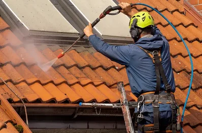 Démoussage et hydrofuge de toiture à Léaupartie